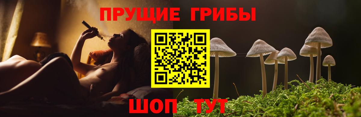 Галлюциногенные грибы прущие грибы  Галлюциногенные грибы ЛСД  Вход с VPN  Муром 